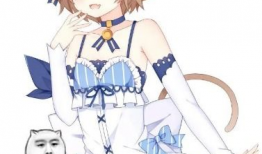 动漫女装,动漫世界中的时尚传奇