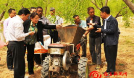 临县吃瓜事件最新爆料新闻,最新爆料揭露惊人内幕